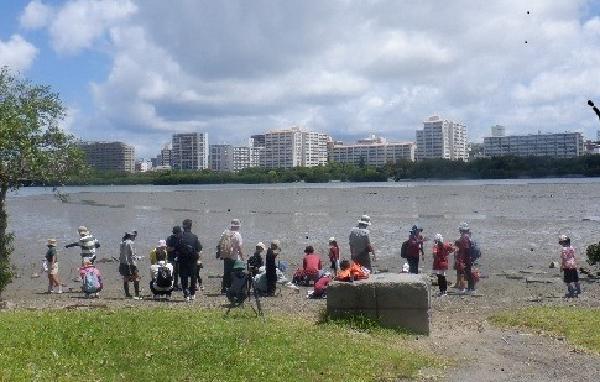 写真：生き物観察会