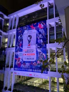 写真：本庁舎ライトアップ2