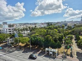 写真：令和7年9月29日（着手前:国道330号側）(1)