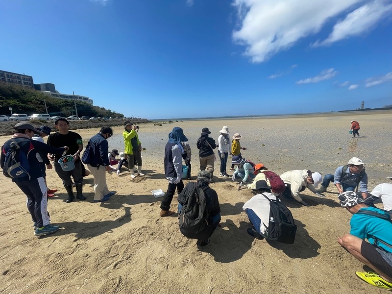 写真：観察会の様子1