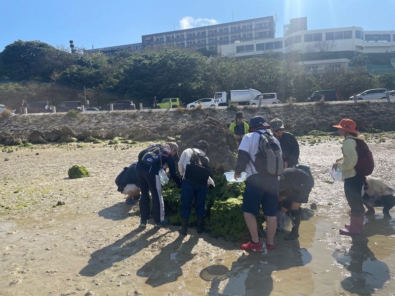 写真：観察会の様子2