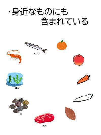 イラスト:身近なものにも含まれている みかん、りんご、人参、大根、サツマイモ、牛肉、貝、海藻、エビ、いわし