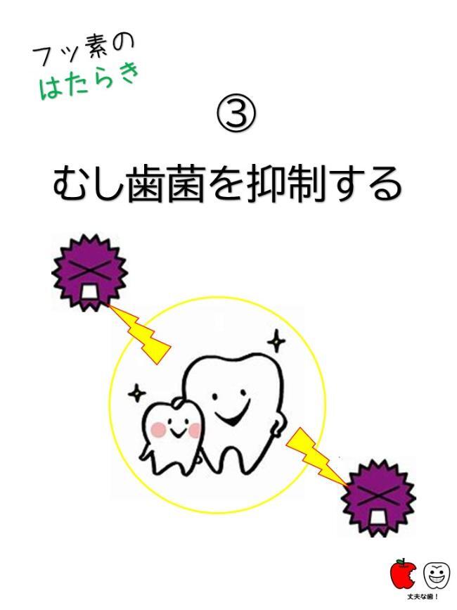 イラスト:フッ素の働き(3)むし歯菌を抑制する