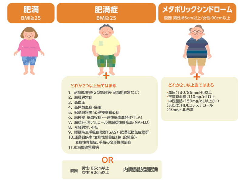 肥満と肥満症とメタボリックシンドロームの違い