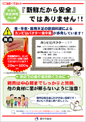 写真:安全な家庭調理の心得 チラシ