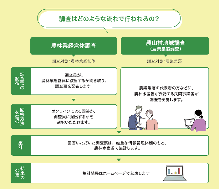 2025農林業センサス　調査の流れ