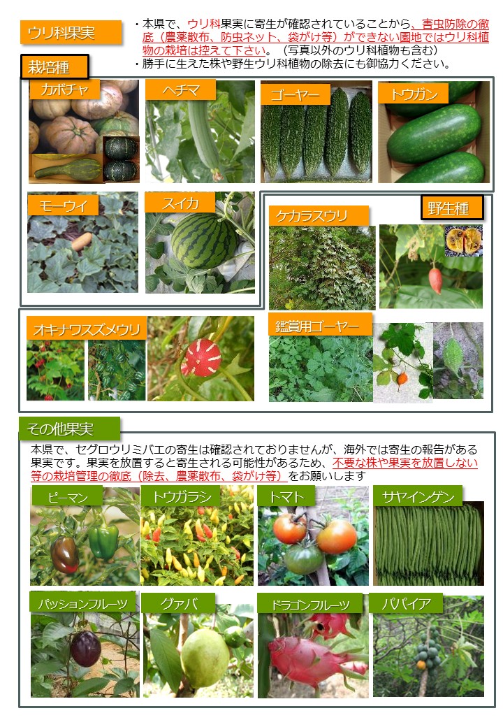 家庭菜園をお持ちの方へ