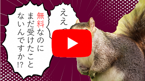 youtube動画