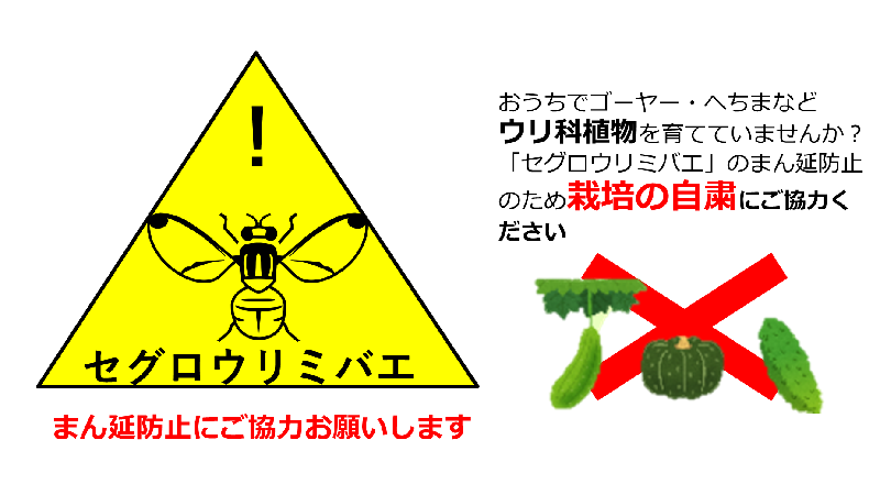 セグロウリミバエのまん延防止にご協力お願いします。