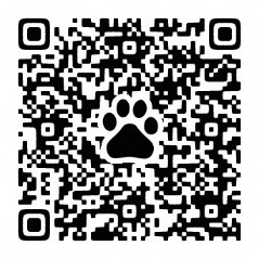 申し込みフォームQRコード