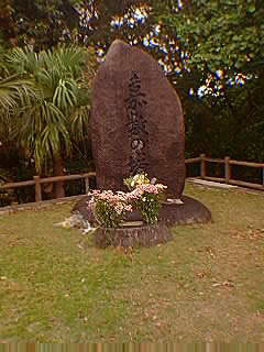 嘉数の塔写真
