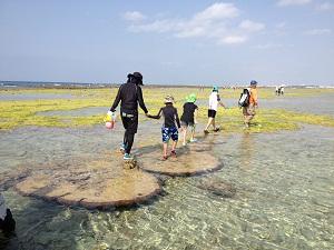 大嶺海岸観察会の様子1