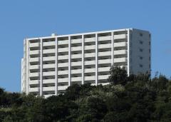 第5期建替工事完成遠くからの写真