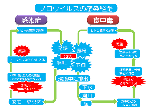 ノロウイルス感染経路