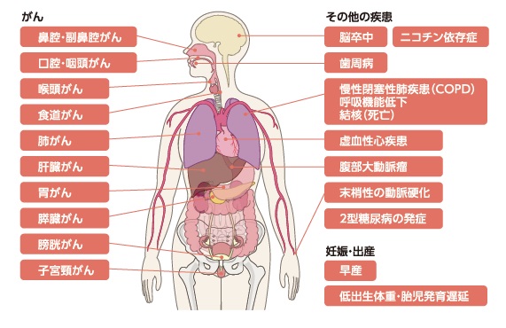 たばこの害（本人）