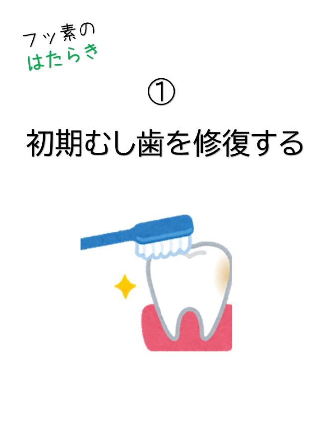 フッ素の働き（1）初期むし歯を修復する