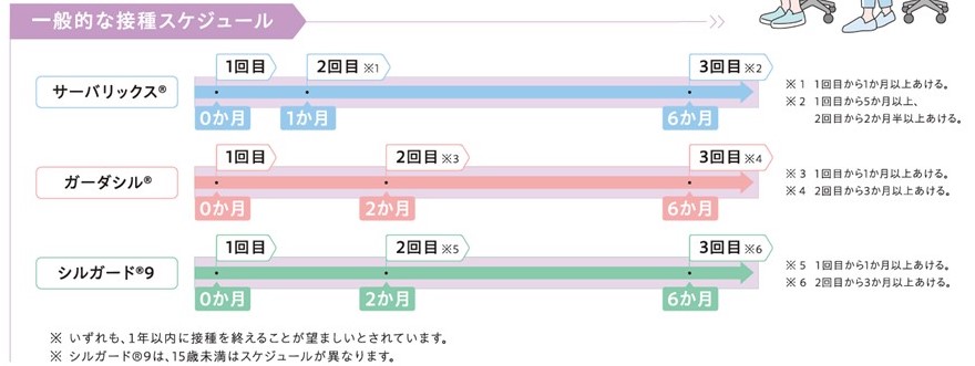 一般的な接種スケジュール